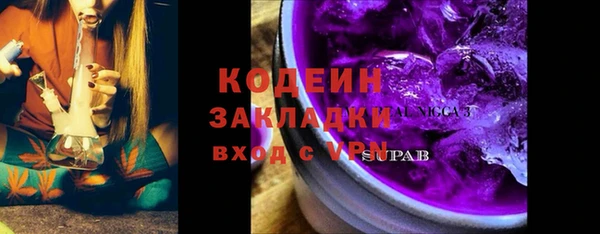 индика Инсар