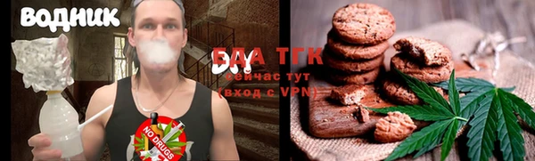 индика Инсар