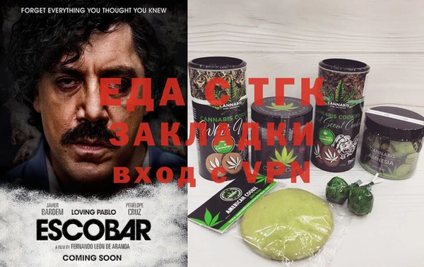индика Инсар