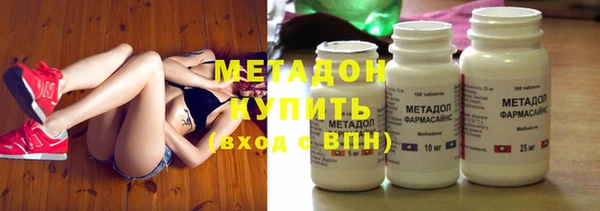 индика Инсар