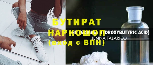 индика Инсар
