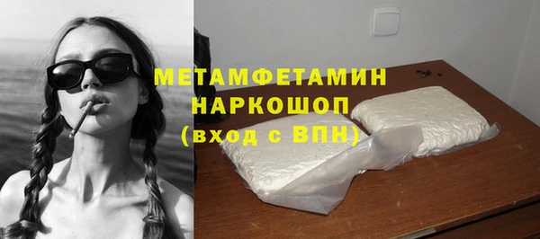 индика Инсар