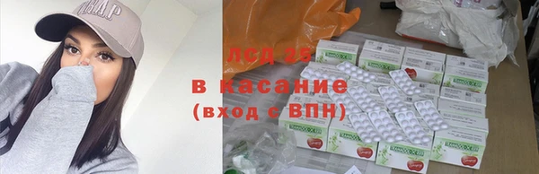 индика Инсар