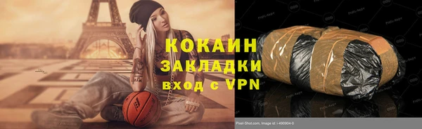 индика Инсар