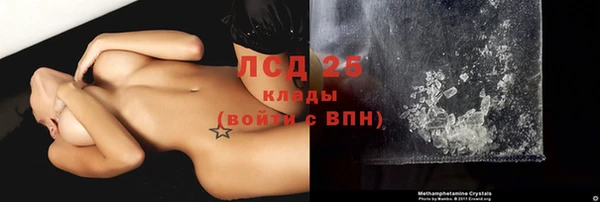индика Инсар