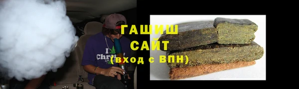 индика Инсар