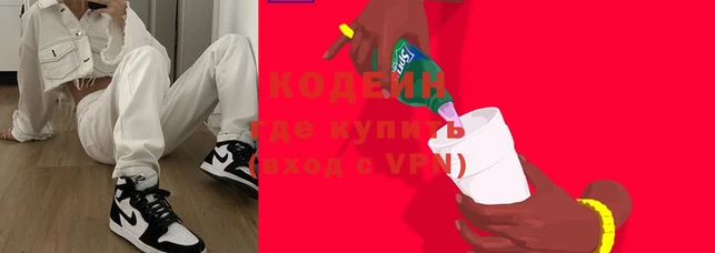 индика Инсар