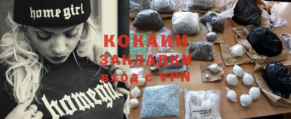 индика Инсар