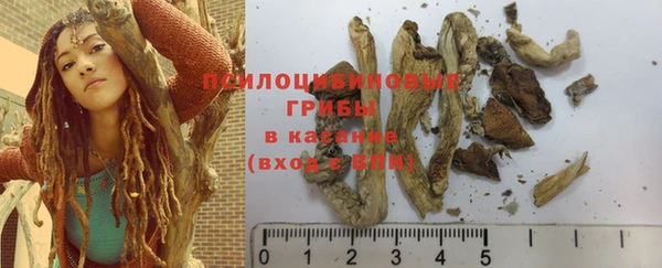 индика Инсар