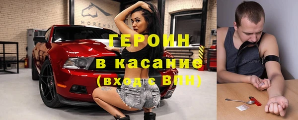 индика Инсар