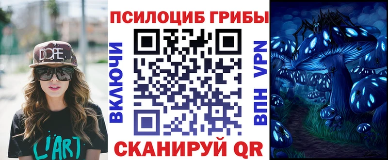 Галлюциногенные грибы Psilocybe  Купить  Уржум 